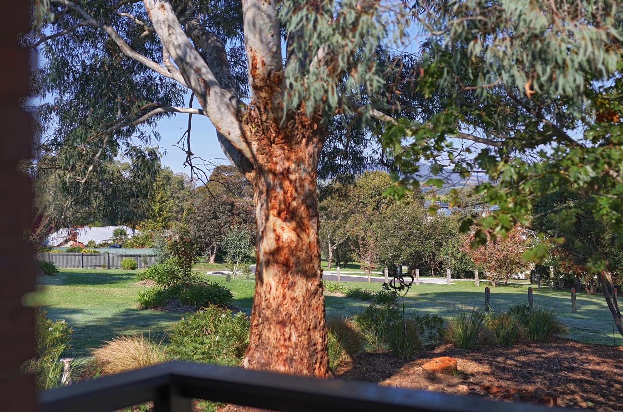 Motel Yarra Gables Healesville Exterior foto